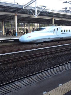 SN3P0103.jpg