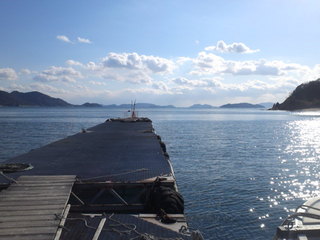 SN3P0166.jpg