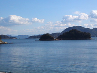SN3P0170.jpg